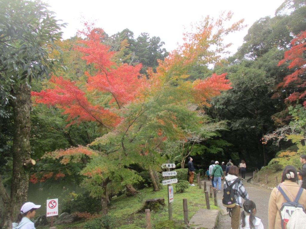 旅スケッチ　成田市